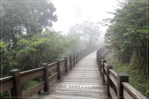 P5260132.JPG P5260132.JPG