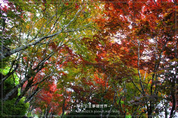 DSC05035.JPG DSC05035.JPG