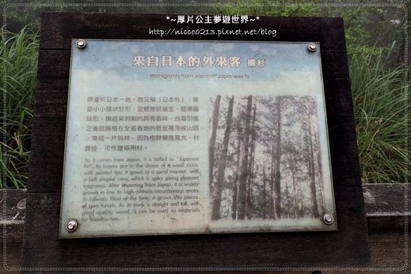 P5260136.JPG P5260136.JPG