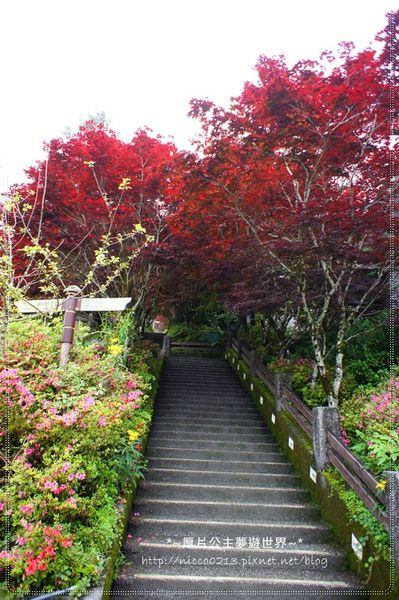 DSC05022.JPG DSC05022.JPG