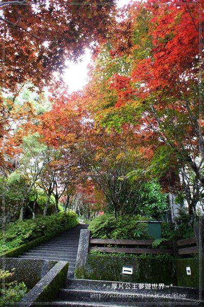 DSC05033.JPG DSC05033.JPG