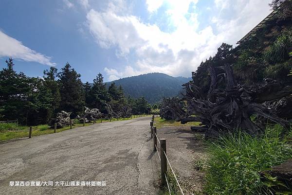 【宜蘭/大同】太平山國家森林遊樂區