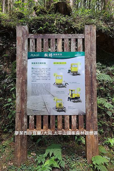 【宜蘭/大同】太平山國家森林遊樂區