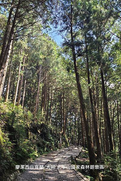 【宜蘭/大同】太平山國家森林遊樂區