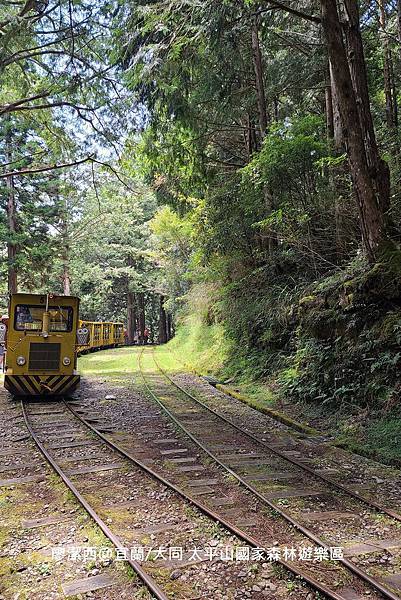 【宜蘭/大同】太平山國家森林遊樂區