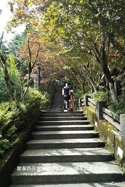 【宜蘭/大同】太平山國家森林遊樂區