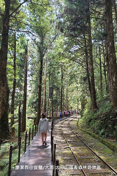 【宜蘭/大同】太平山國家森林遊樂區