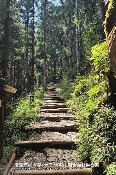 【宜蘭/大同】太平山國家森林遊樂區