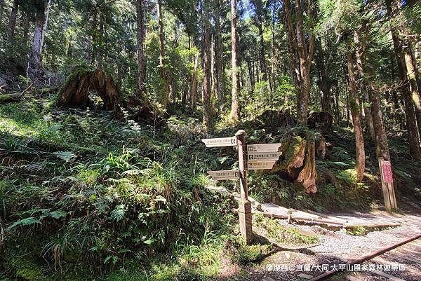 【宜蘭/大同】太平山國家森林遊樂區