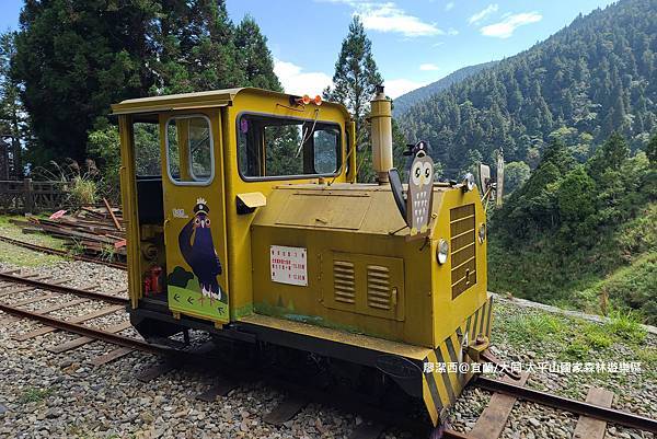 【宜蘭/大同】太平山國家森林遊樂區