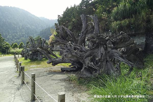 【宜蘭/大同】太平山國家森林遊樂區