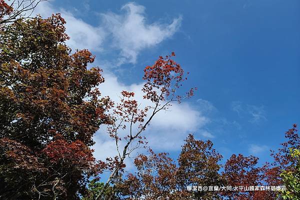 【宜蘭/大同】太平山國家森林遊樂區