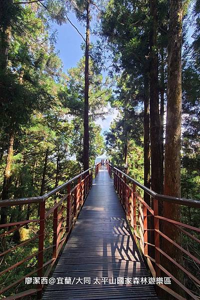 【宜蘭/大同】太平山國家森林遊樂區