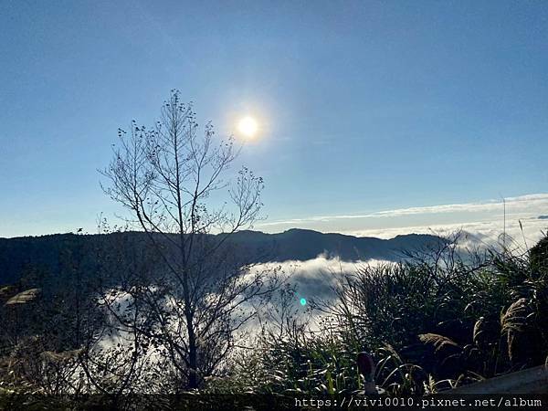 20201231太平山_210102_11.jpg