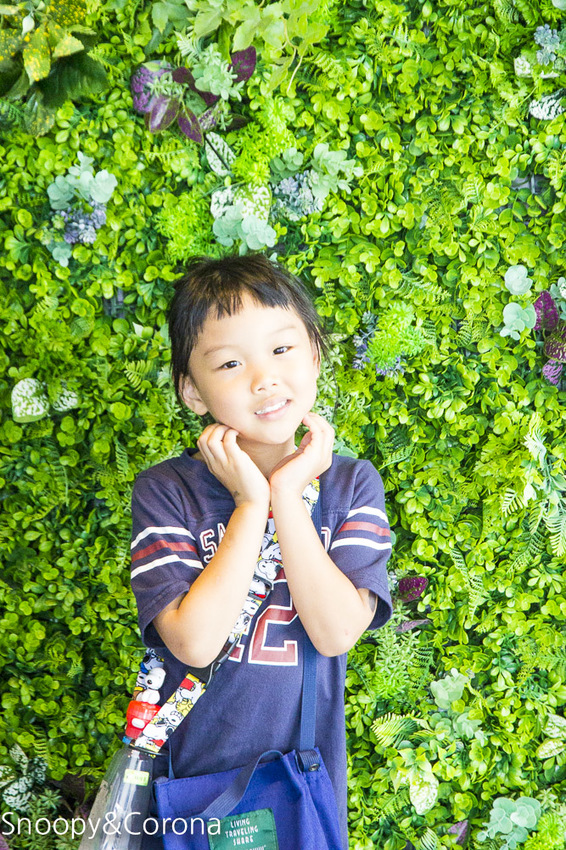 【住宿．新北】碧潭住宿／新加州景觀旅館～緊鄰碧潭水岸與捷運站，親子房附設玩具箱，親子度假好愜意