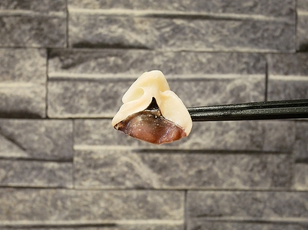 龍周職人鍋物:龍周職人鍋物-高雄左營高CP值火鍋 海鮮肉品都非常新鮮 套餐霸氣外露一定要試試