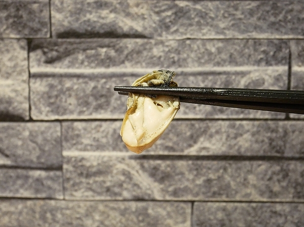 龍周職人鍋物:龍周職人鍋物-高雄左營高CP值火鍋 海鮮肉品都非常新鮮 套餐霸氣外露一定要試試