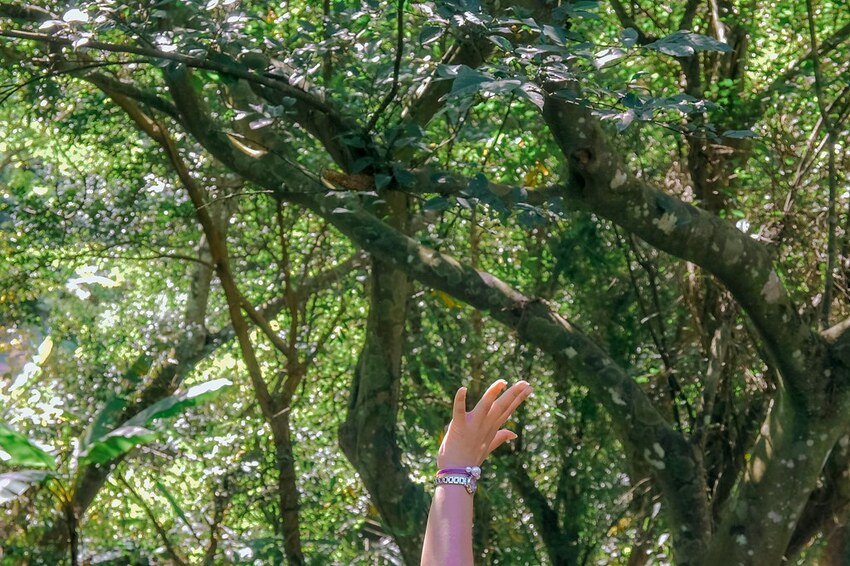 SelfieCity_20201215234444_org