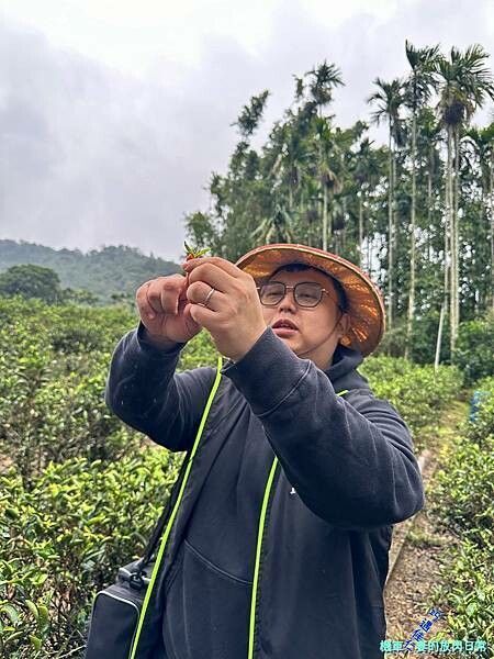 [活動] 新北三峽 甘樂茶事/甘樂文創 品牌暨新品發表會  