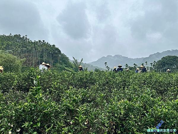 [活動] 新北三峽 甘樂茶事/甘樂文創 品牌暨新品發表會  