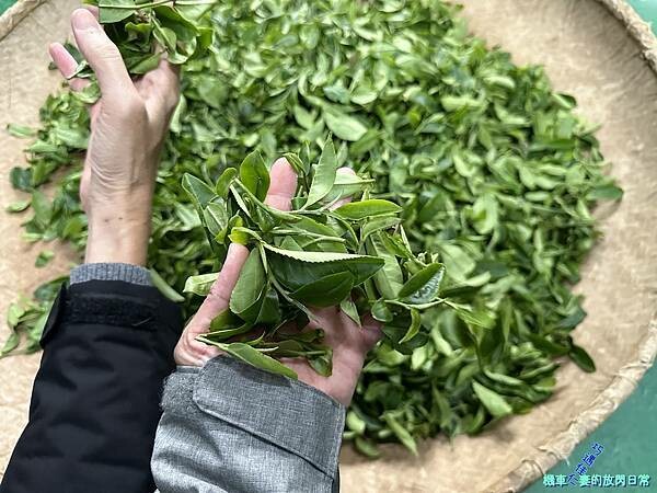 [活動] 新北三峽 甘樂茶事/甘樂文創 品牌暨新品發表會  