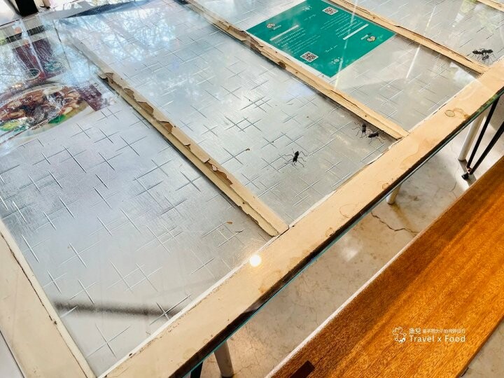 大樹、院子與人情味，百年古厝裡的美味時光，甘樂食堂 @魚兒 x 牽手明太子的「視」界旅行