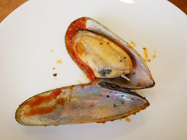 義娜堤餐廚Eternity Café:義娜堤餐廚Eternity Café-台中北區義式餐廳 中國醫巷弄美食 師承義大利人的道地料理 別緻空間設計 用餐後也有聊天小天地