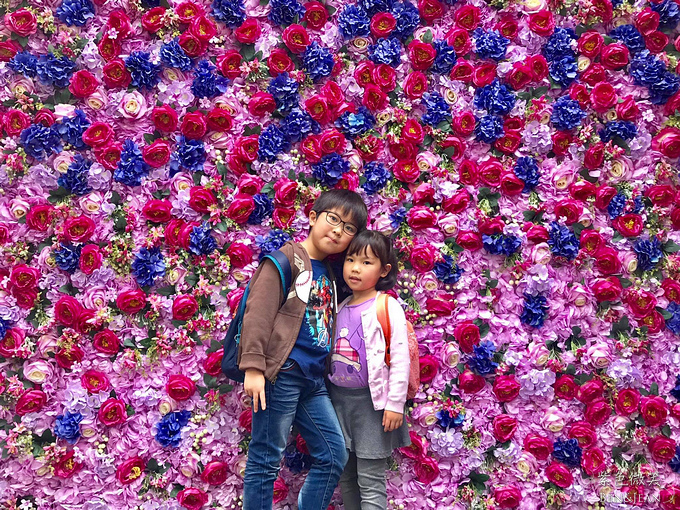 49234232_2704624922888477_1447814066524389376_o