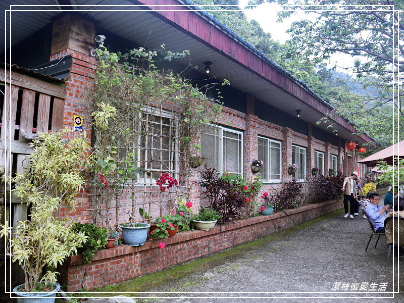 星仙草-苗栗獅潭/是甜品店也是餐廳!招牌仙草系列必點