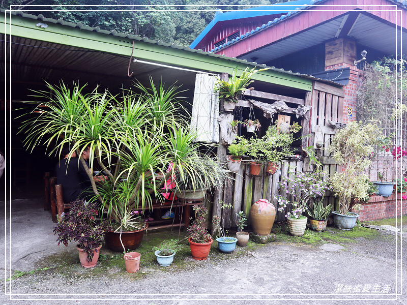 星仙草-苗栗獅潭/是甜品店也是餐廳!招牌仙草系列必點