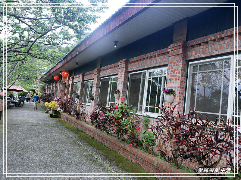 星仙草-苗栗獅潭/是甜品店也是餐廳!招牌仙草系列必點