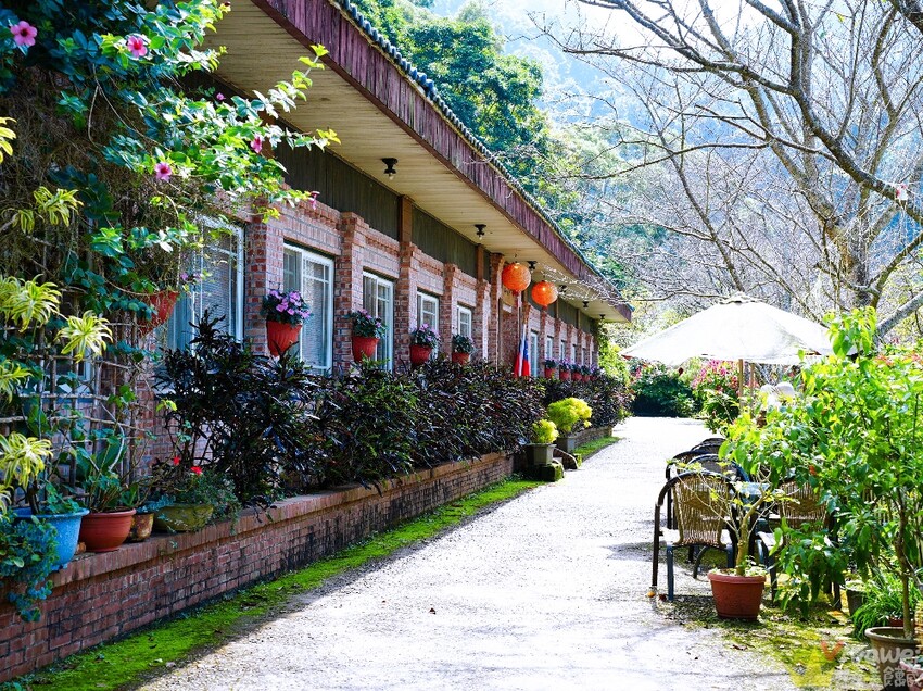 【星仙草】手作湯圓,白玉及芋圓開放宅配了～搭配店家特製花生粉或桂花釀～在家也能輕鬆享用！