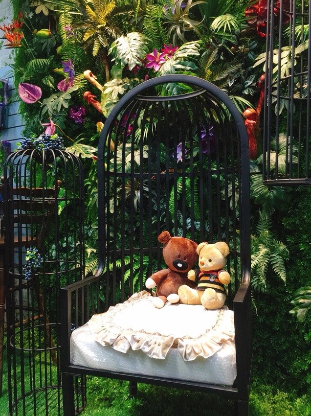 20181104_181118_0035