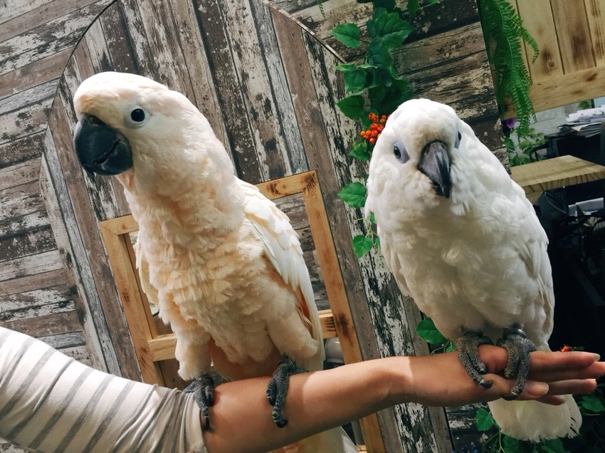 20181104_181118_0008