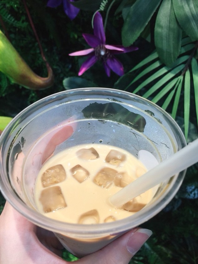 20181104_181118_0028