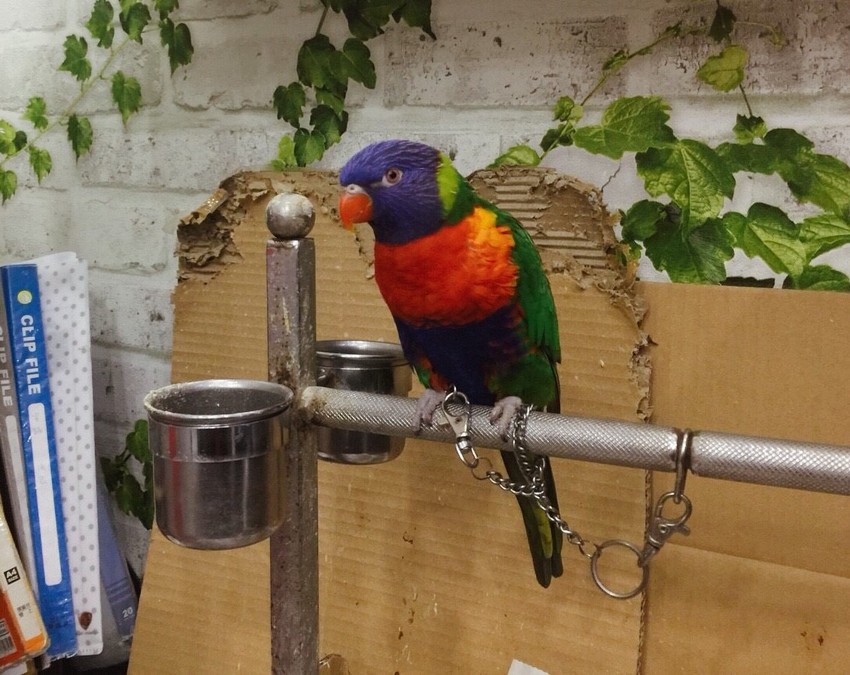 20181104_181118_0020