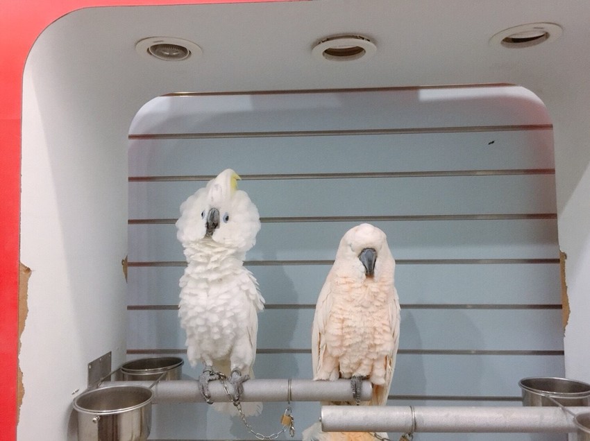 20181104_181118_0022