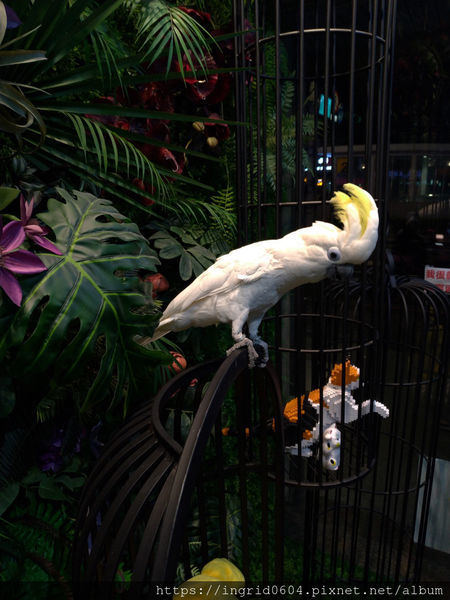 松山火車站旁 饒河街夜市必買 健康好喝真材實料的八寶家飲品!