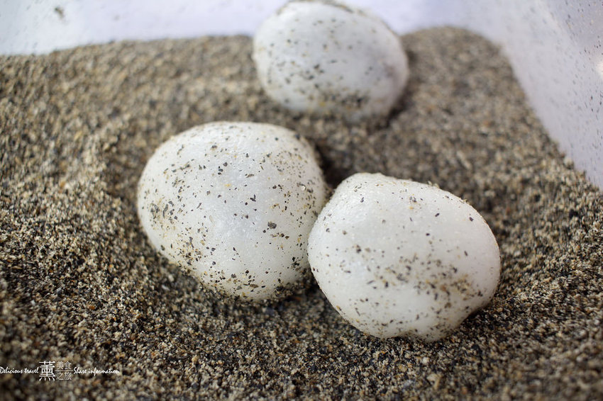 西螺麻糬/創始店/員林店/藤崎薰