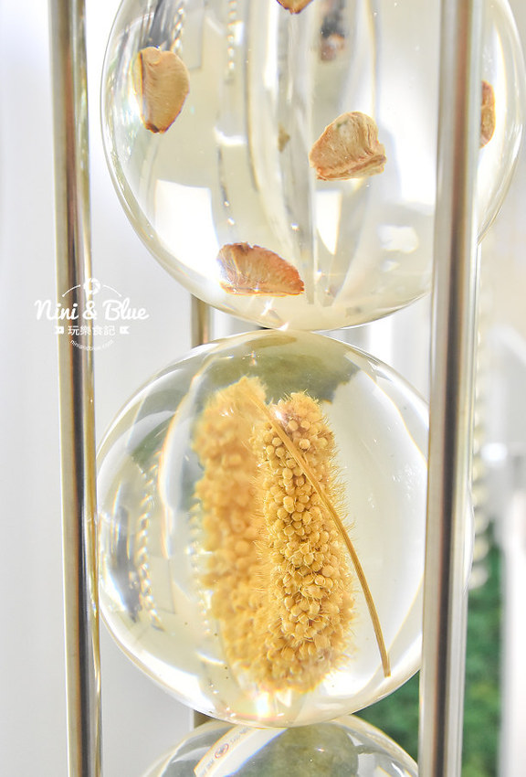 友達微美館 台中后里花博 森林園區 必拍景點0014 友達微美館 台中后里花博 森林園區 必拍景點0014