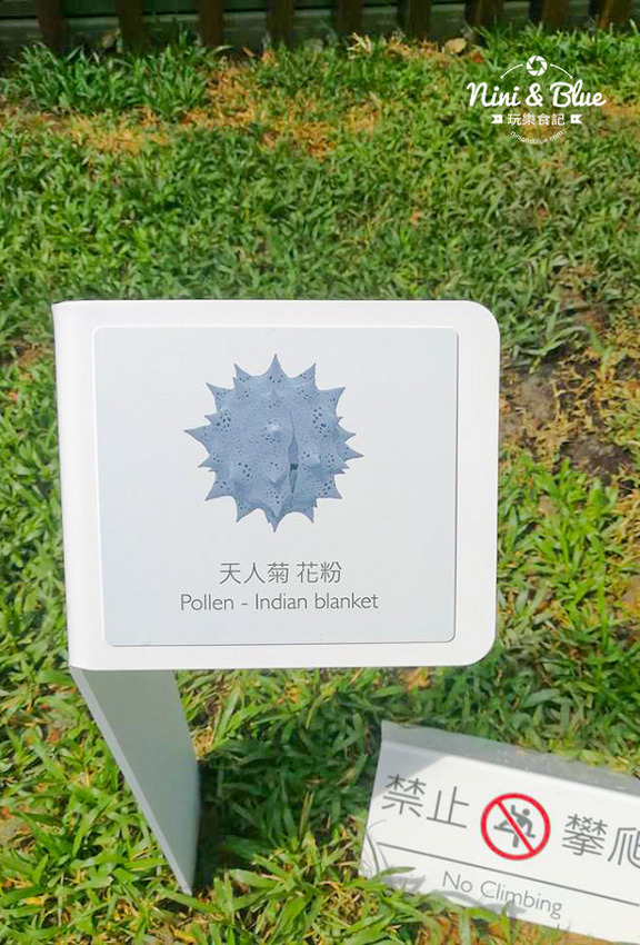 友達微美館 台中后里花博 森林園區 必拍景點0022 友達微美館 台中后里花博 森林園區 必拍景點0022