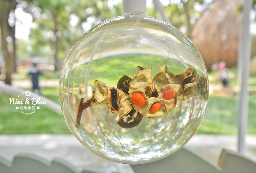 友達微美館 台中后里花博 森林園區 必拍景點0011 友達微美館 台中后里花博 森林園區 必拍景點0011