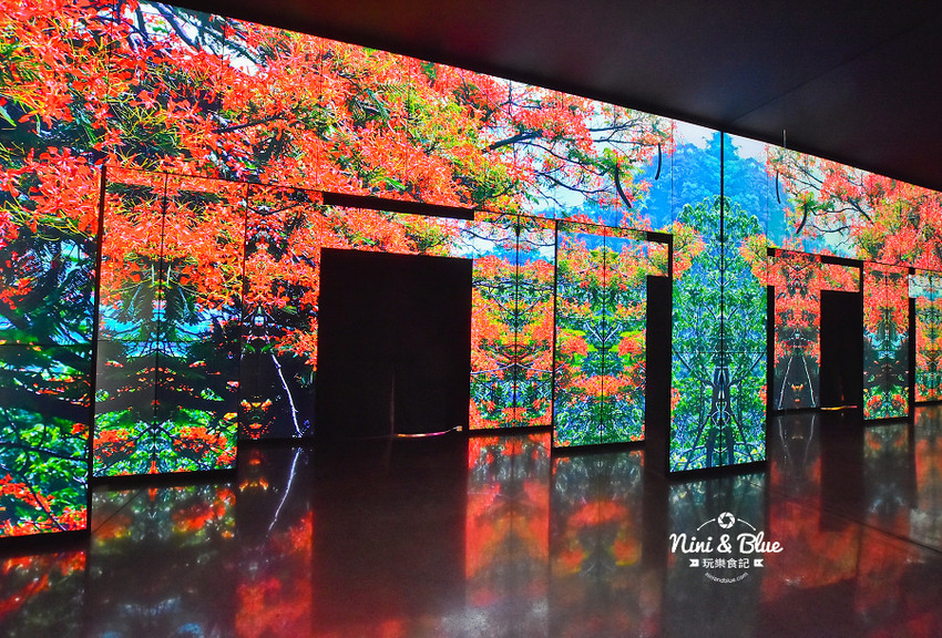 友達微美館 台中后里花博 森林園區 必拍景點0001 友達微美館 台中后里花博 森林園區 必拍景點0001
