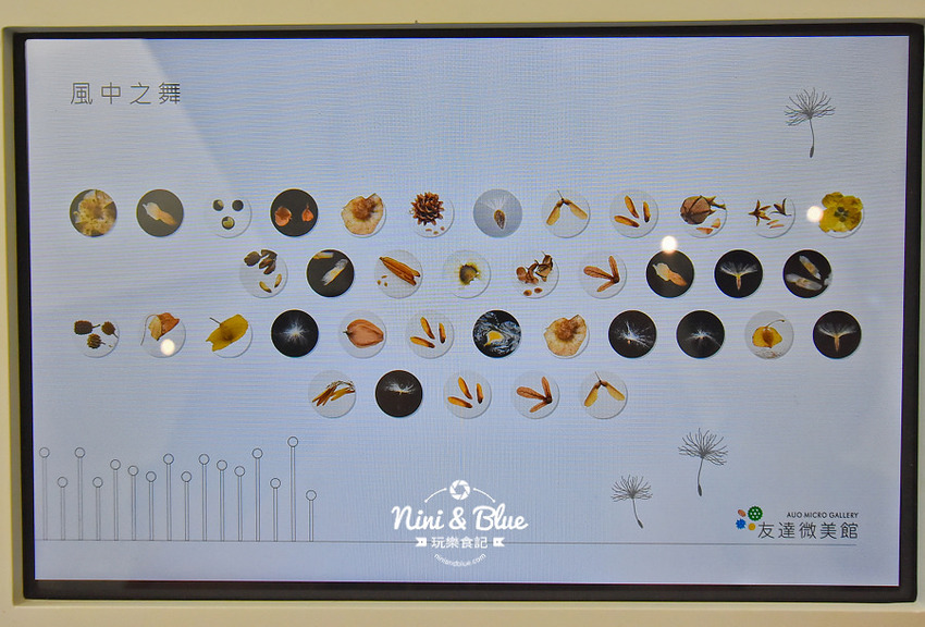 友達微美館 台中后里花博 森林園區 必拍景點0010 友達微美館 台中后里花博 森林園區 必拍景點0010