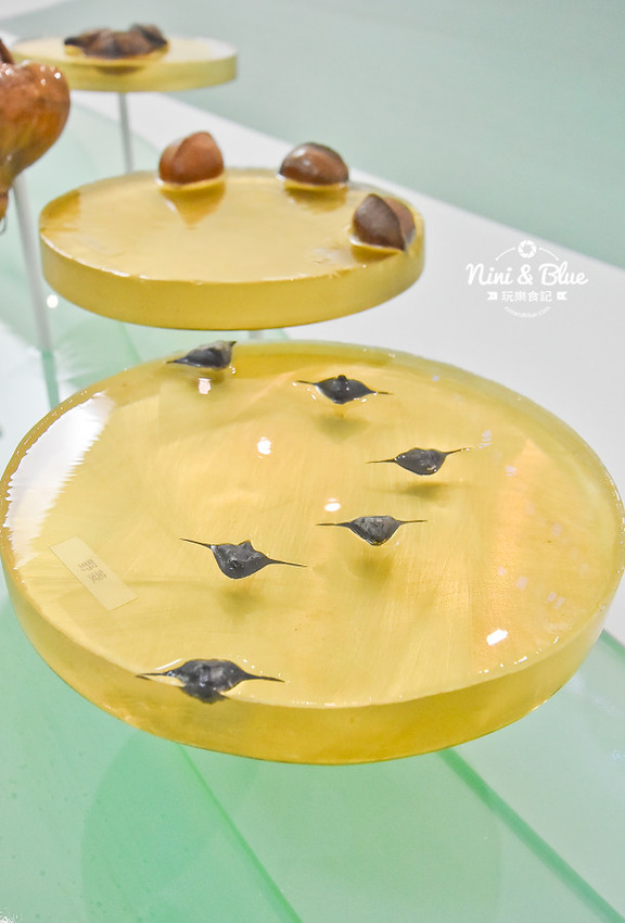 友達微美館 台中后里花博 森林園區 必拍景點0013 友達微美館 台中后里花博 森林園區 必拍景點0013