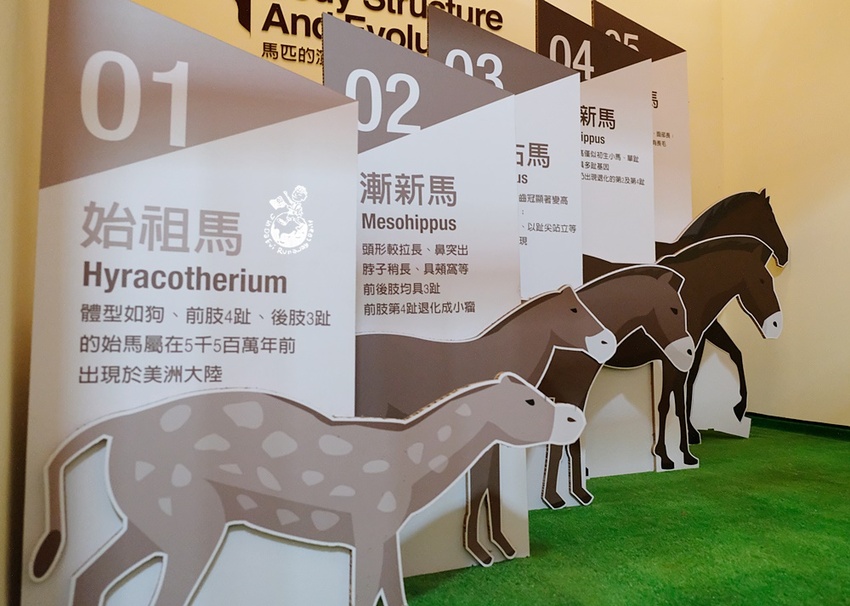 2018台中花博后里馬場