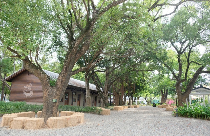 2018台中花博后里馬場