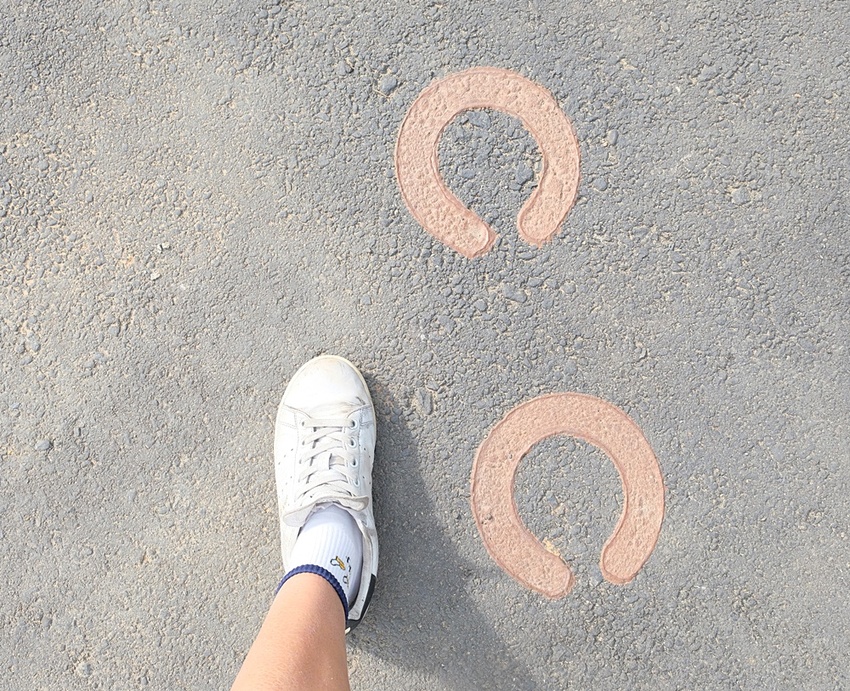 2018台中花博后里園區