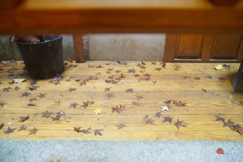 大道埕美食茶館 桃花源緣 不限時