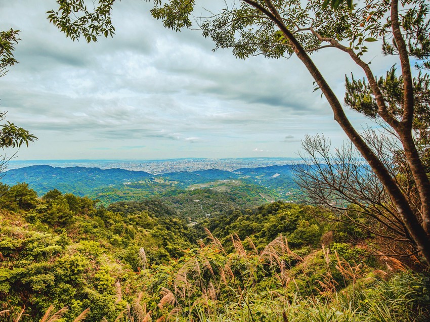 大坑步道 | 台中登山景點大坑4號步道|挑戰自我台版萬里長城 大坑步道 | 台中登山景點大坑4號步道|挑戰自我台版萬里長城
